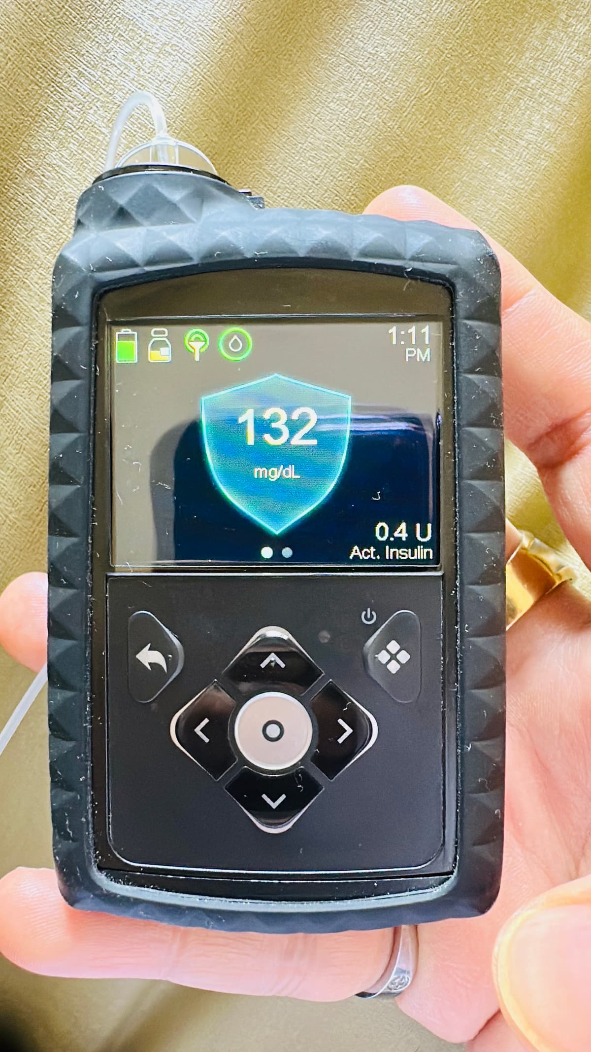 Back to Bolus